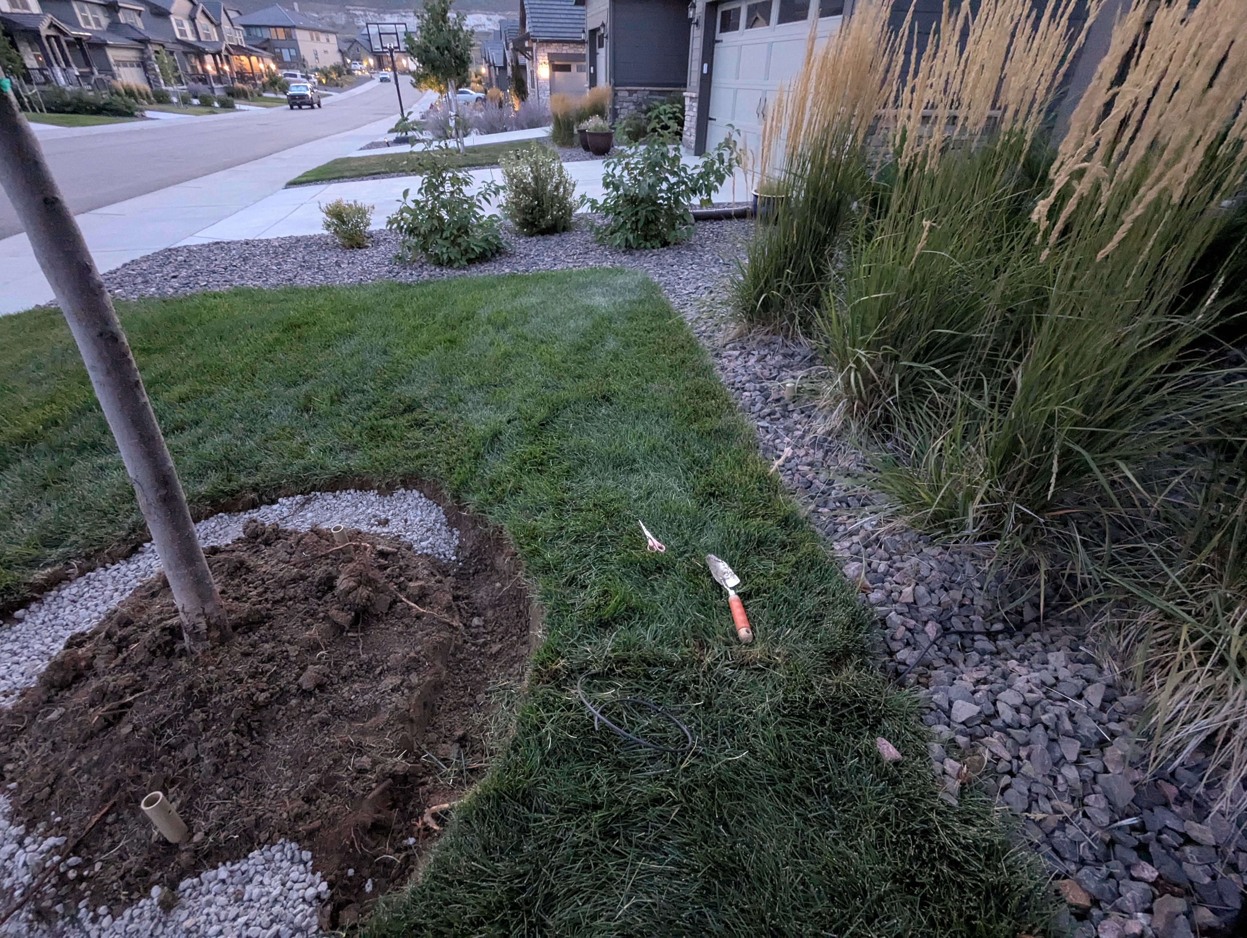 Tree Ring, Home Improvement, Morrison, Colorado